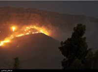 مهار آتش سوزی در باغهای فخر آباد همدان