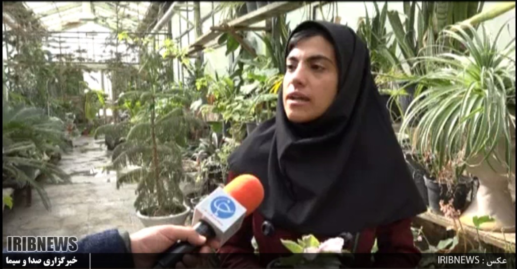 گزارش مکتوب ـ کارآفرین هایی از جنس دانشجو