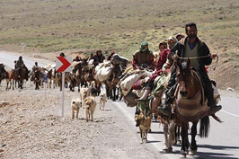 اختصاص تسهیلات برای افزایش درآمد جامعه عشایری