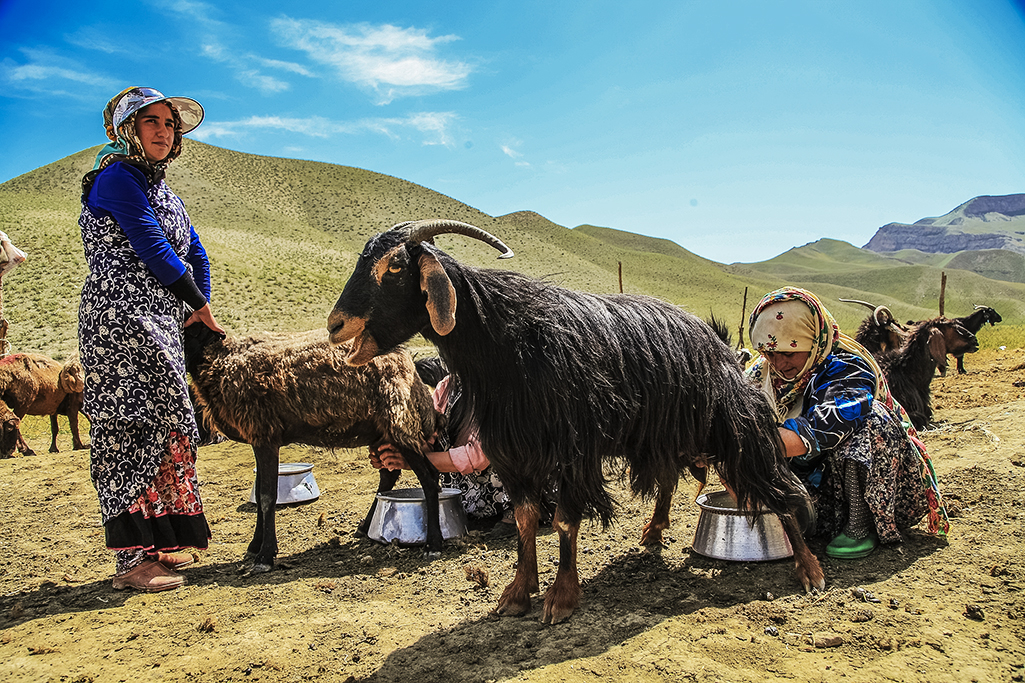 اردوی جهادی درمنطقه عشایری شهرستان کلات