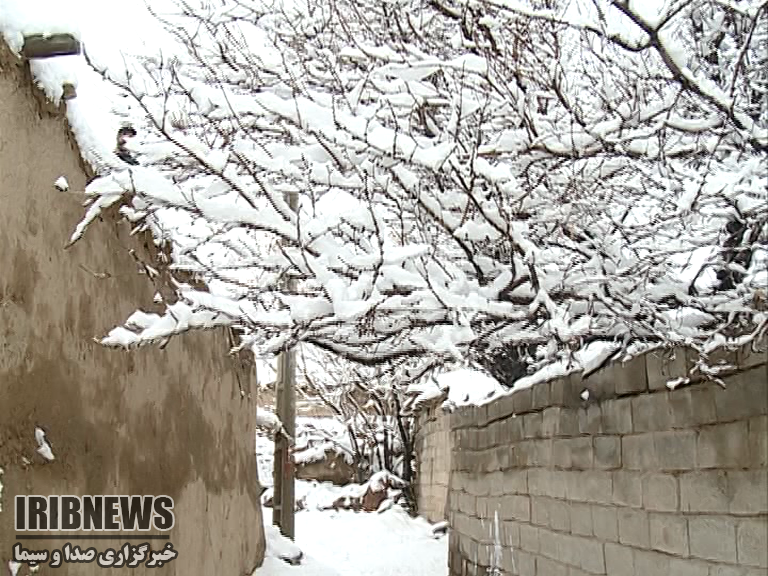  توصیه های  زمستانه کارشناسان به کشاورزان