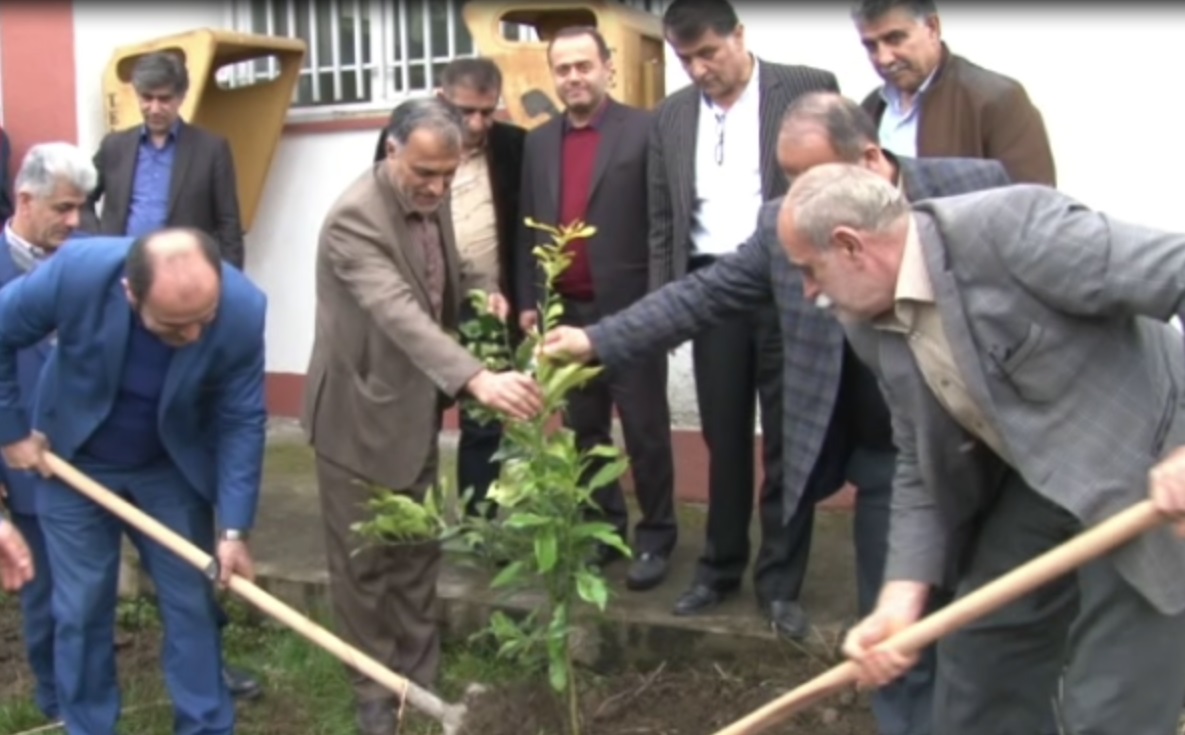 استقبال دانشجویان و مهدکودکهای آمل از هفته درختکاری