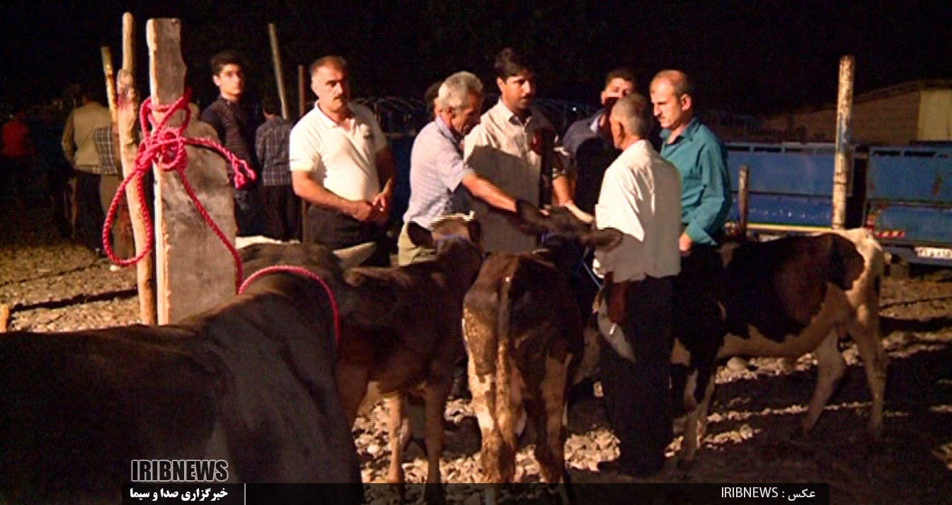 گرمی بازار بزرگترین بازار مال فروشان شمال کشور گرمی بازار بزرگترین بازار مال فروشان شمال کشور