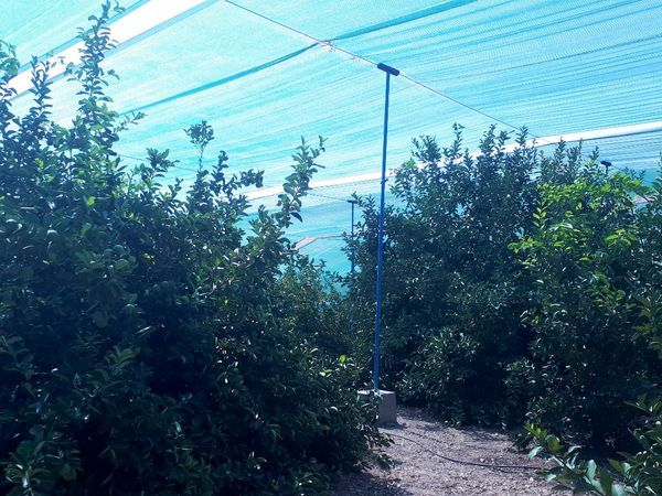 صدور مجوز ساخت سایبان برای  کشتزارهای جهرم صدور مجوز ساخت سایبان برای  کشتزارهای جهرم