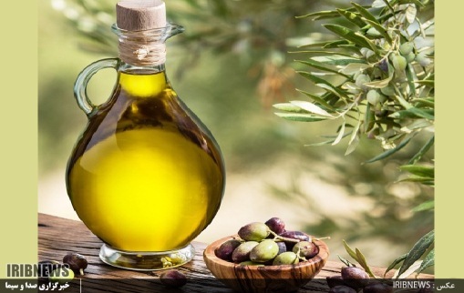 روغن زیتون گیلان، پیشرو در تولید اما در گیرو دار مشکلات