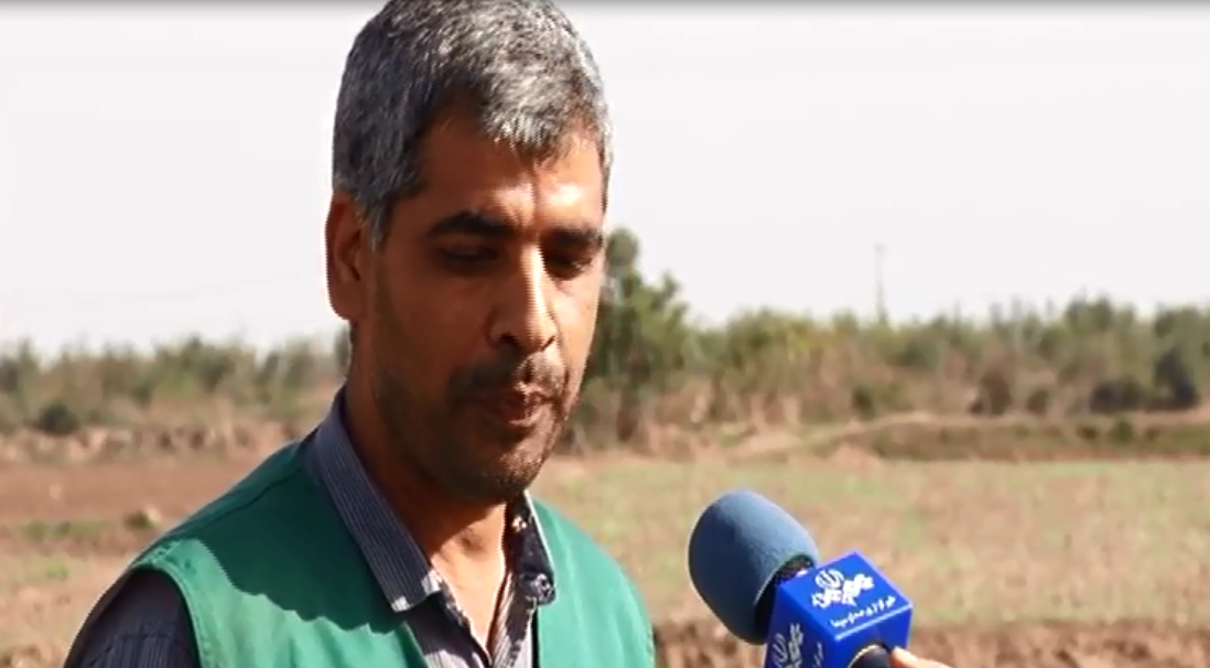 راهی نو در کاری قدیمی