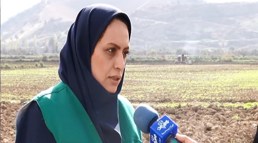 راهی نو در کاری قدیمی