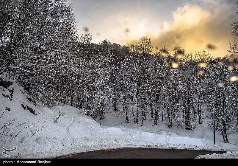 طبعیت برفی ديلمان + تصاویر