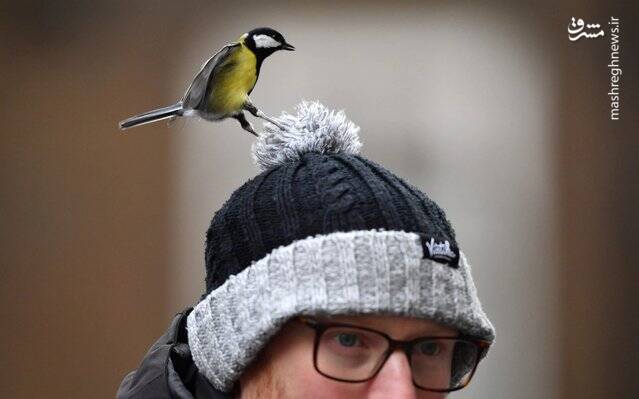 تصاویر ديدني حیات وحش تصاویر ديدني حیات وحش