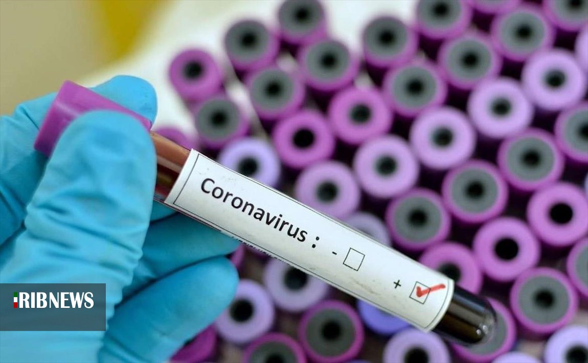 کرونا و جولان سودجویان