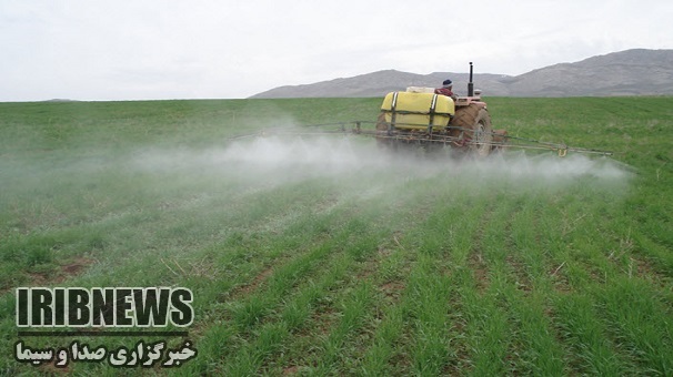 اجرای طرح مبارزه با علفهای هرز در 24 هزار هکتار اراضی زنجان اجرای طرح مبارزه با علفهای هرز در 24 هزار هکتار اراضی زنجان