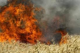 کمتر از یک ساعت، مهار آتش سوزی در اراضی شهرآباد کمتر از یک ساعت، مهار آتش سوزی در اراضی شهرآباد