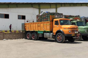 فاسد شدن يکهزار تن سیب درختی در دماوند فاسد شدن يکهزار تن سیب درختی در دماوند