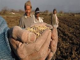 خریداری هزاران تن گندم به نرخ تضمینی خریداری هزاران تن گندم به نرخ تضمینی