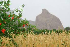 این جا مردم زندگی می&zwnj;کنند..