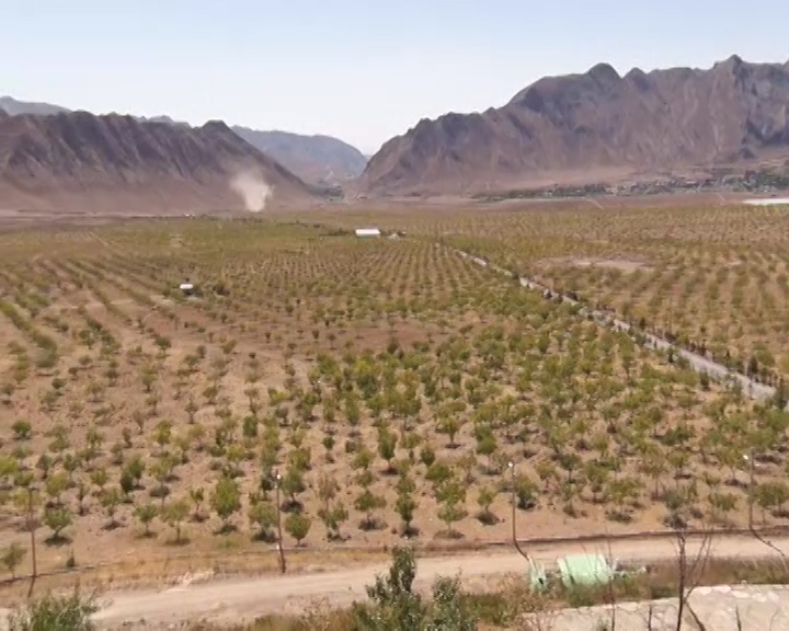 خواب شکوفه ها ؛ راه گذر از فصل مخاطره خواب شکوفه ها ؛ راه گذر از فصل مخاطره
