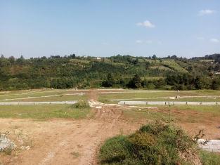 آزادسازی زمینهای کشاورزی در قائم شهر