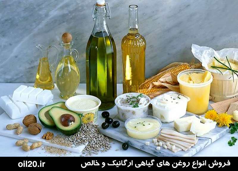 اسیدهای چرب ضروری برای بدن کدامند؟