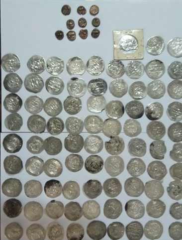 کشف سکه‌های ساسانی و ایلمایی در جهرم