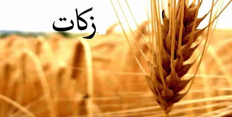 رشد ۷۴ درصدی جمع آوری زکات در قزوین رشد ۷۴ درصدی جمع آوری زکات در قزوین