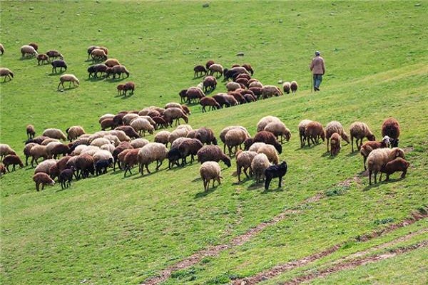 احیا مراتع استان زنجان به همت روستائیان