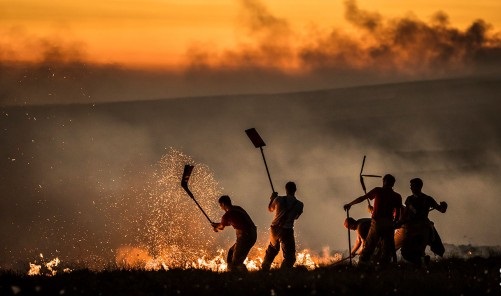 نقش تغییرات آب و هوایی در افزایش خشونت