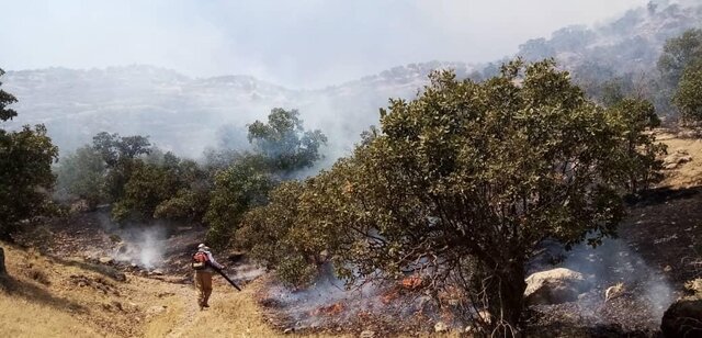 مهار آتش سوزی در مناطق حفاظت شده دنا