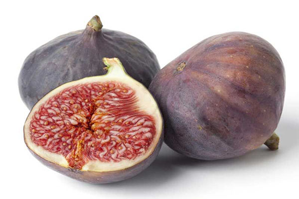 درباره انجير چه می‌دانيد؟