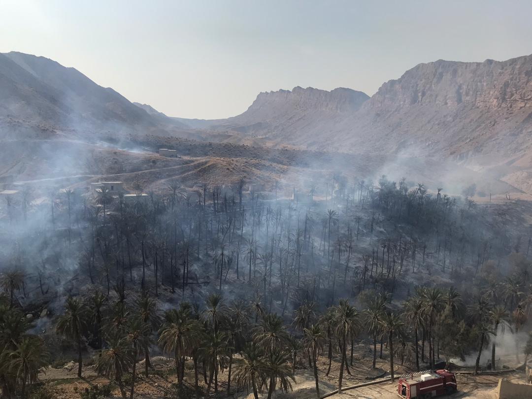 مهار آتش سوزی در باغ های روستای خانیچه