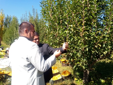 برچسب خارجی بر دسترنج باغدار ایرانی
