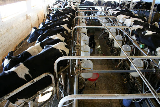 واگذاری شرکت کشت و صنعت و دامپروری مغان، تردیدها وامیدها