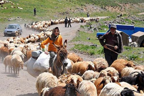 کوچ عشایر به هرمزگان