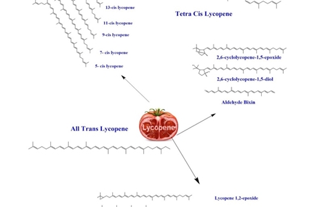 لیکوپن‎؛ آنتی اکسیدان طبیعی برای پیشگیری از بیماری‌ها