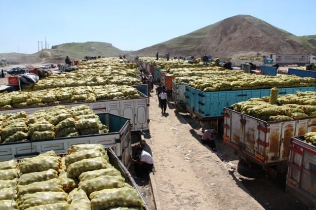 خروج تره بار از مرز خسروی در انتظار صدور مجوز طرف عراقی