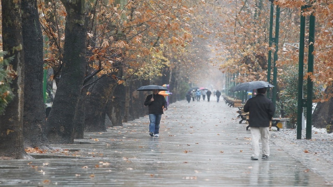 باران بارید