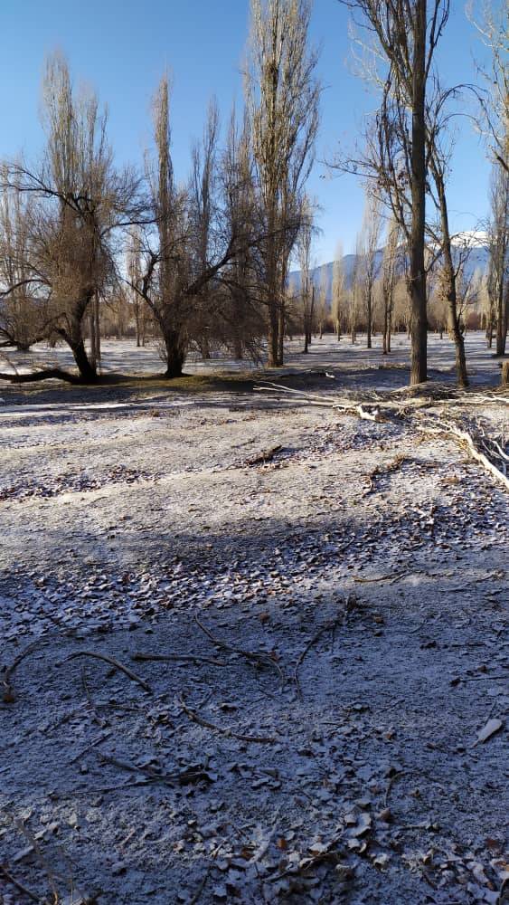 ماجرای قطع درختان حاشیه رودخانه جیغاتی چیست؟