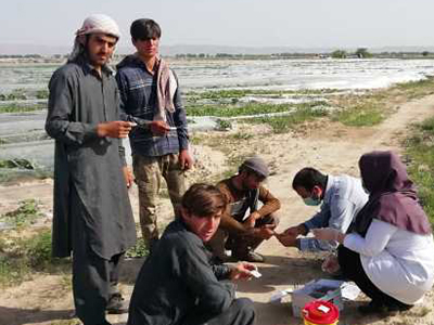 افزایش ۱۰ درصدی بیملریابی مالاریایی در دشتستان