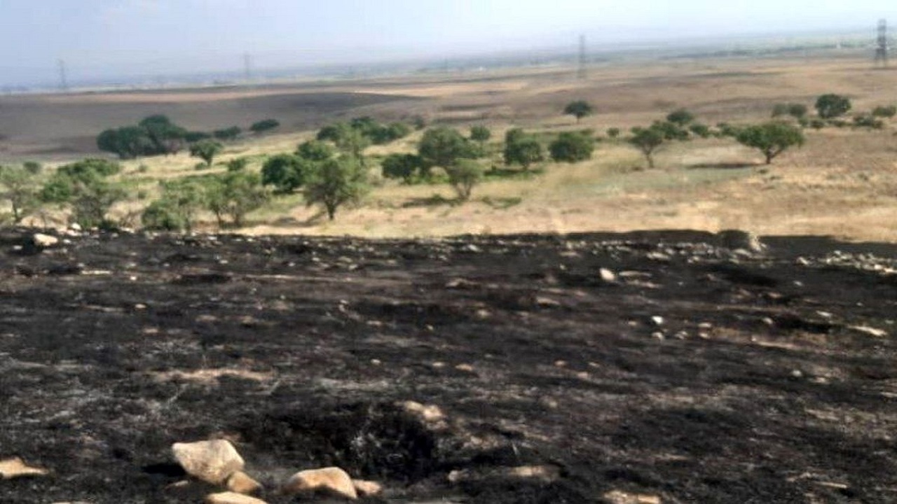 آتش سوزی در ۵ هکتار از باغات روستای یانس آباد آبیک