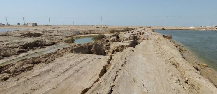 بررسی خسارات زلزله به مزارع پرورش میگو در هرمزگان