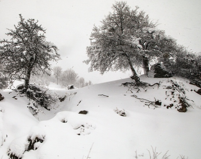 اشنویه پربارشترین شهر آذربایجانغربی در شبانهروز گذشته بود اشنویه پربارشترین شهر آذربایجانغربی در شبانهروز گذشته بود