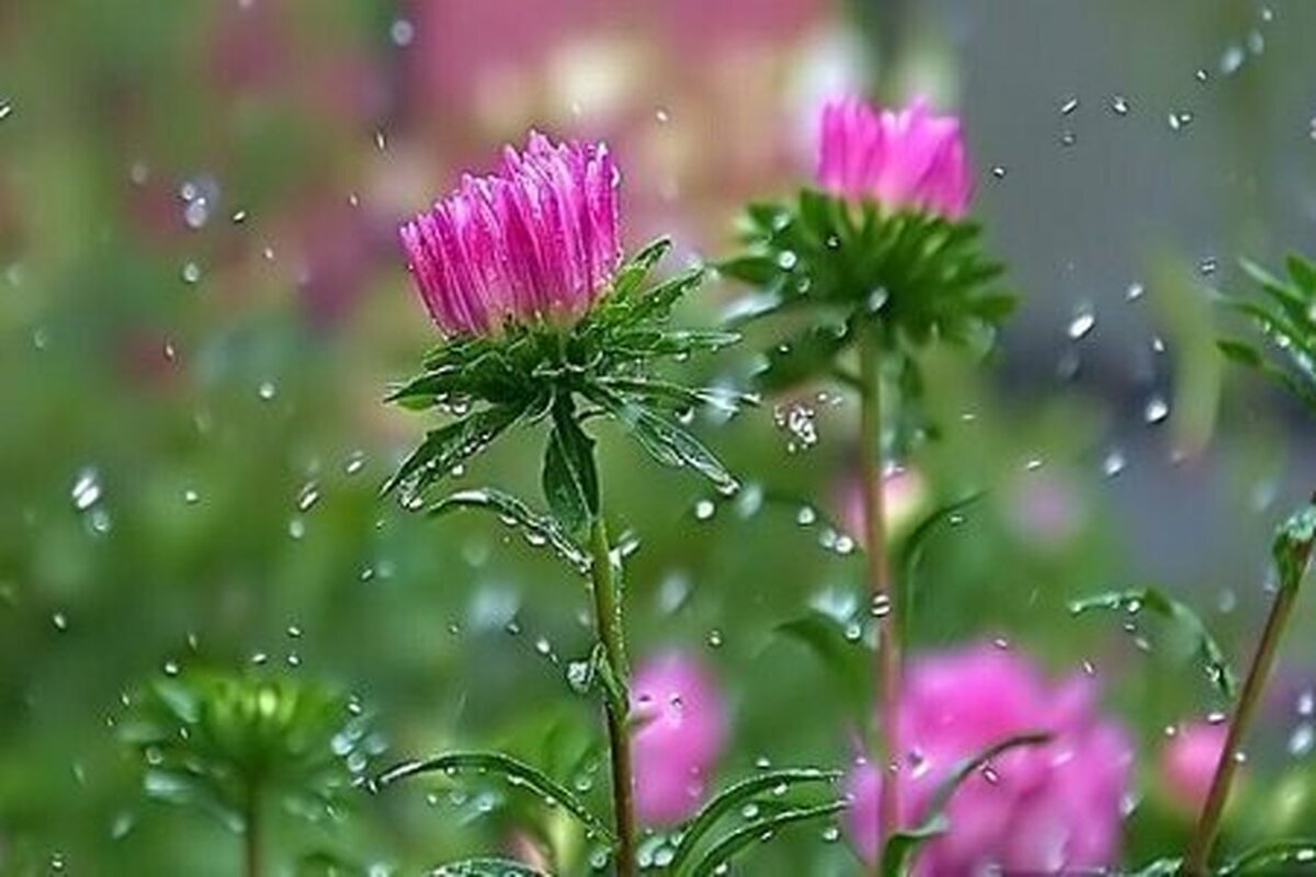 صدور هشدار نارنجی هواشناسی در خوزستان