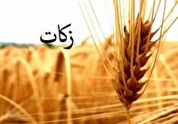 جمع آوری ۵۳ میلیارد تومان زکات ؛ تاکنون در گلستان