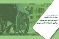 حمایت قانونی از حقوق معلولان با درآمدهای مالیاتی