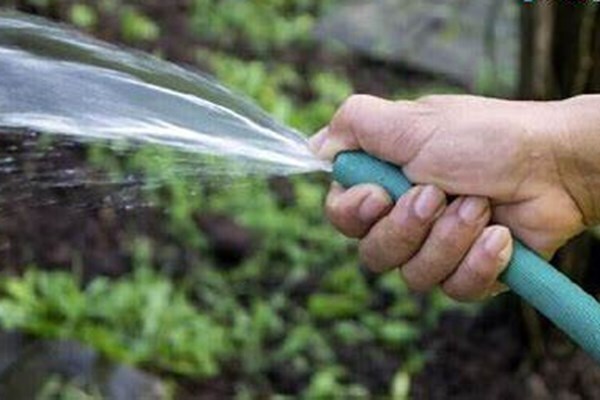 مصرف بی رویه آب دلیل افت فشار در برخی مناطق اهواز مصرف بی رویه آب دلیل افت فشار در برخی مناطق اهواز