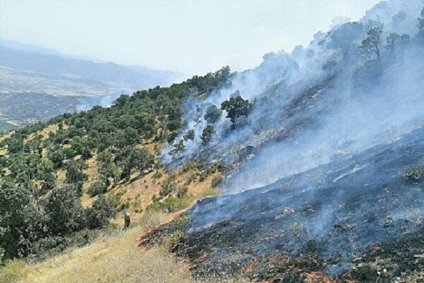 برخورد قضایی با عوامل آتش‌سوزی مزارع خوزستان