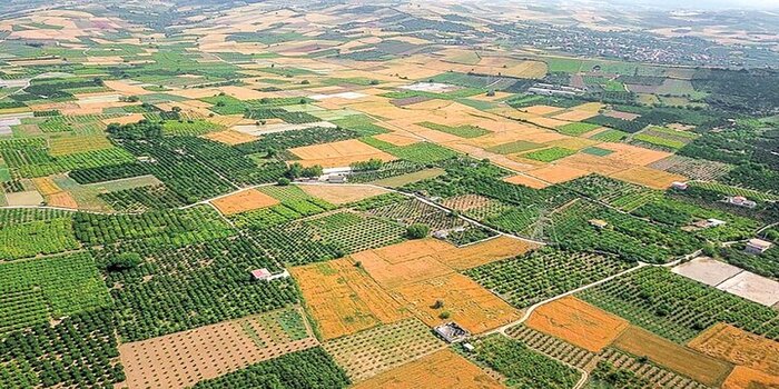 تسهیل واگذاری زمین برای اجرای طرح‌های کشاورزی و تولیدی (لطفا کار نشود)