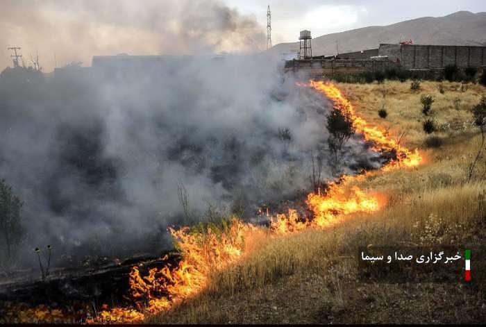 طعمه حریق شدن ۲۵۱ هکتار از مزارع کشاورزی لرستان