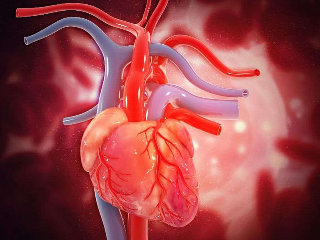 سهم ۵۰ درصدی بیماری‌های قلبی عروقی از مرگ‌های غیرواگیردار در دنیا