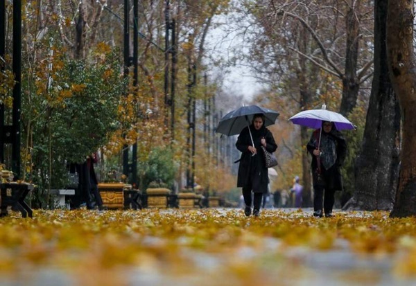 فارس بارانی می‌شود