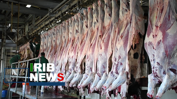 تولید هشت هزار تُن گوشت قرمز به همت عشایر آذربایجان شرقی